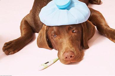 任天堂警告大量NS2申购钓鱼邮件横行 官方并未单独发送结果